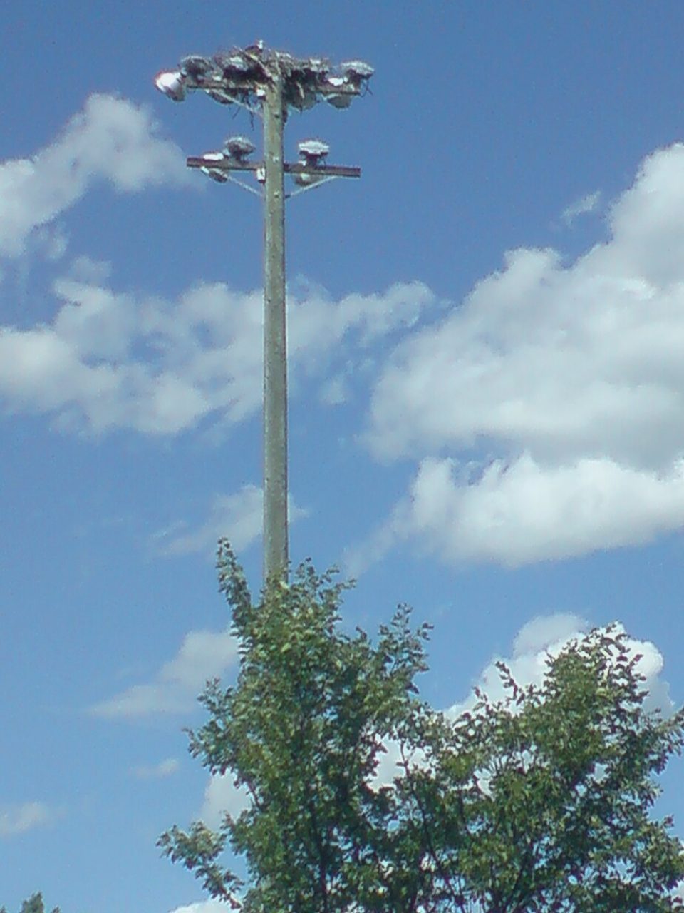 2026赛季NFL常规赛 · 乐动